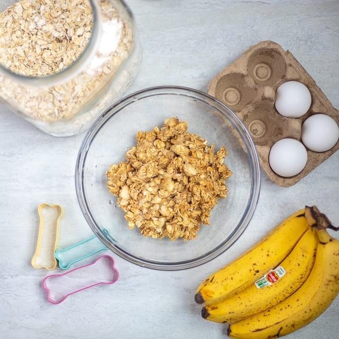 Teig für hausgemachte Erdnussbutter-Hundeleckerlis in einer Glasschale neben Bananen und Haferflocken