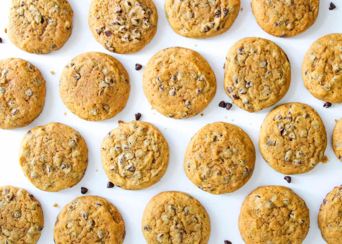 Perfekt gebackene Kürbis-Schoko-Cookies Frisch gebackene Kürbis-Schoko-Cookies, golden und perfekt gebräunt, auf einem Backblech.