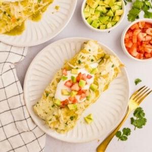 Salsa Verde Hähnchen-Enchiladas auf weißem Teller, garniert mit gewürfelten Avocado und Tomaten.