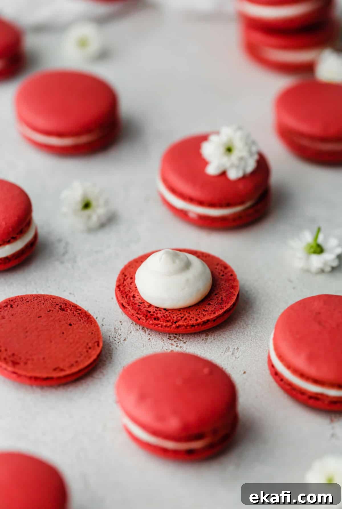 Μακαρόν Κόκκινο Βελούδο 8 White cream cheese frosting filled Red Velvet Macarons on a gray background.