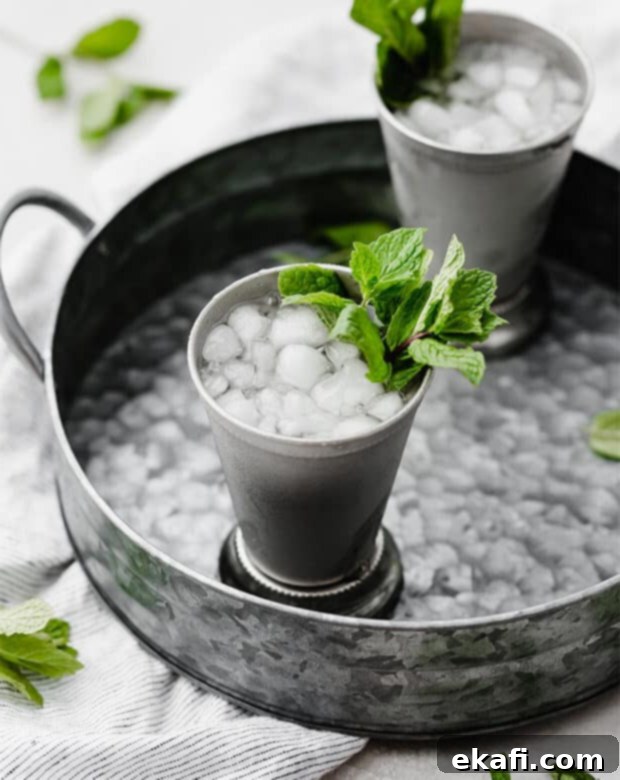 Παρθένο Τζούλεπ με Μέντα 6 Ένα παρθένο Mint Julep σε μεταλλική κούπα σε έναν ασημένιο μεταλλικό δίσκο.