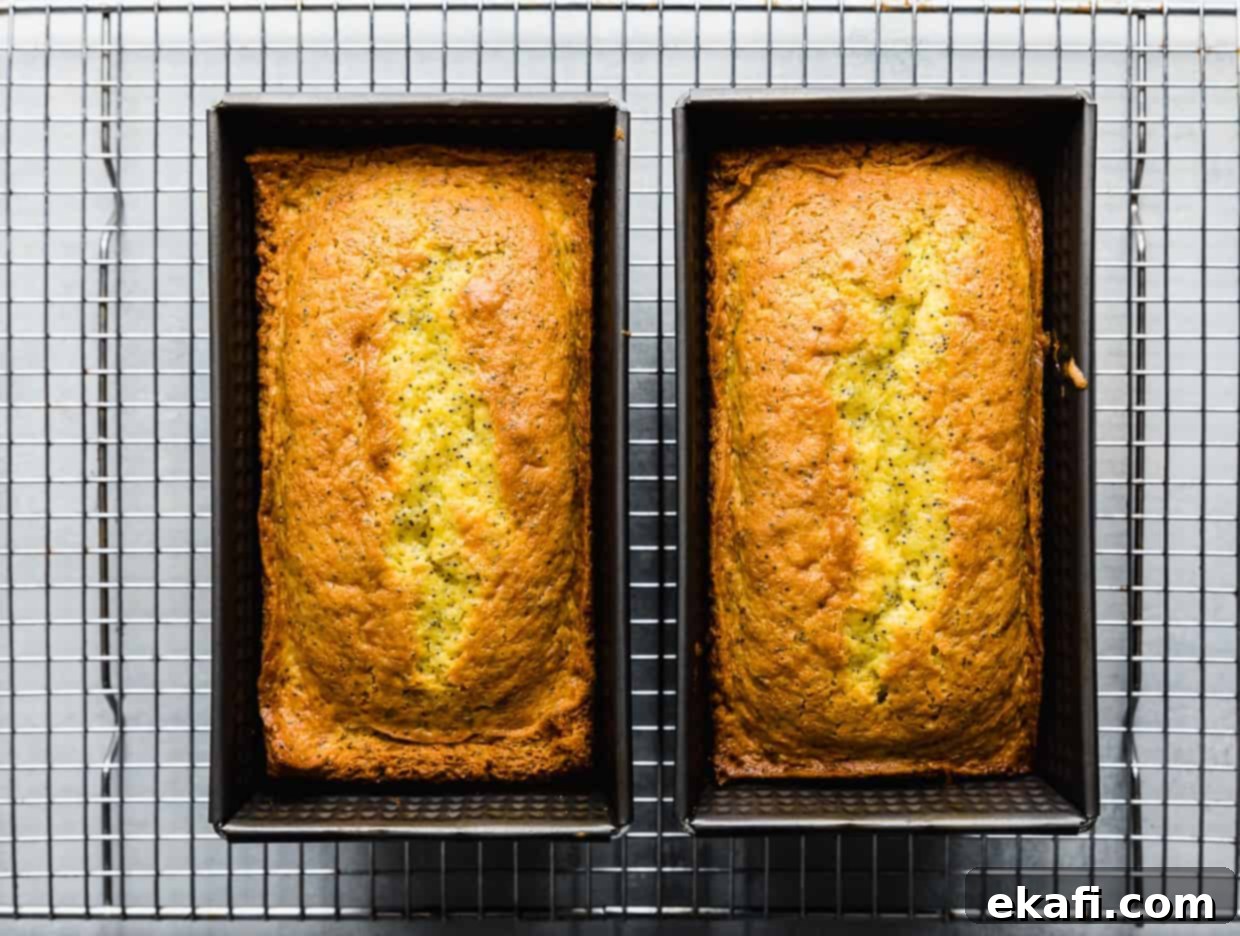 Cake Mix Lemon Poppy Seed Loaf 7 Two loaf pans on a wire cooling rack, each loaf pan has a golden brown freshly baked lemon poppy seed loaf in it.
