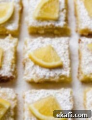 Irresistible Old Fashioned Lemon Squares 12 Perfectly cut Lemon Bar squares, elegantly topped with a small, fresh slice of lemon.