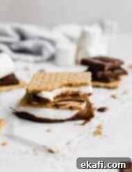 Φουρνιστά Σμορς 9 Μια S'more φούρνου με ένα δάγκωμα βγαλμένο από αυτήν.
