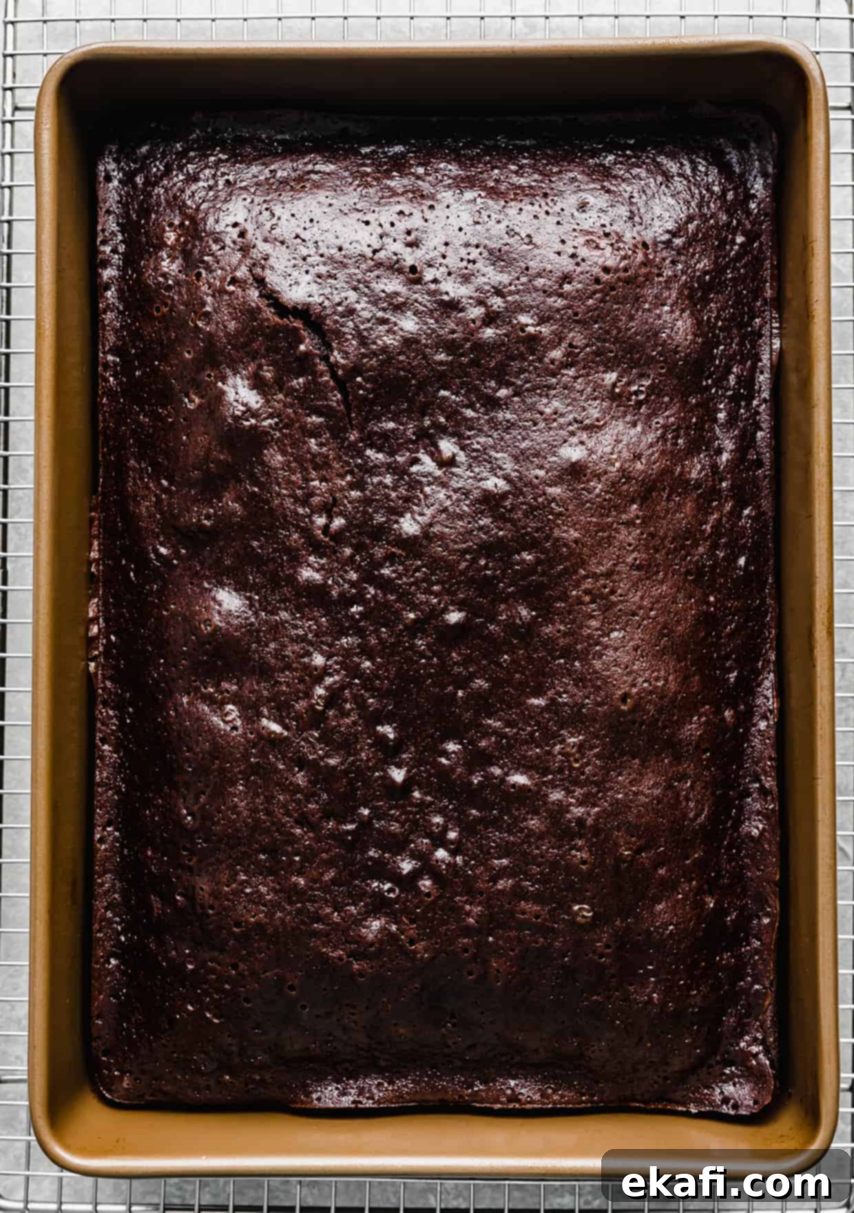 Chocolate Peanut Butter Symphony 9 A beautifully baked chocolate cake in a 9x13 inch pan, golden-brown and ready for frosting.