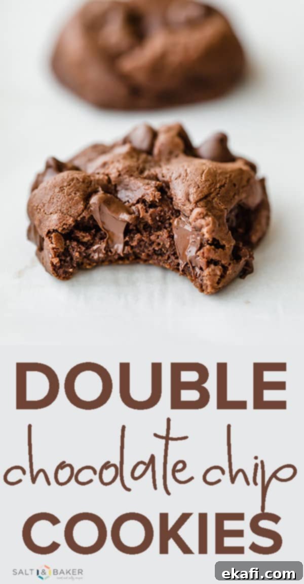 Decadent Double Chocolate Bites 16 The Best Double Chocolate Chip Cookies! Thick, chewy, and full of melty chocolate chips, these cookies are a chocolate lovers dream! Get the full recipe at saltandbaker.com #saltandbaker #chocolatechipcookie #doublechocolate #chocolatelovers #cookierecipes
