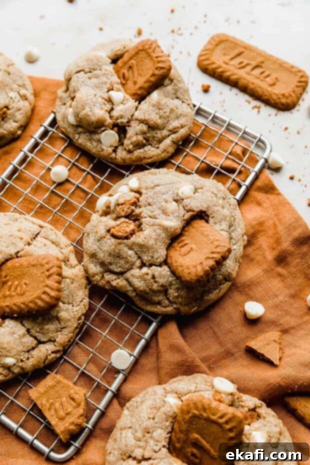 Crumbl's Dreamy Biscoff White Chocolate Cookies 3 Ingredients laid out for Crumbl Biscoff White Chip Cookies, including cookie butter, flour, oats, and white chocolate chips.
