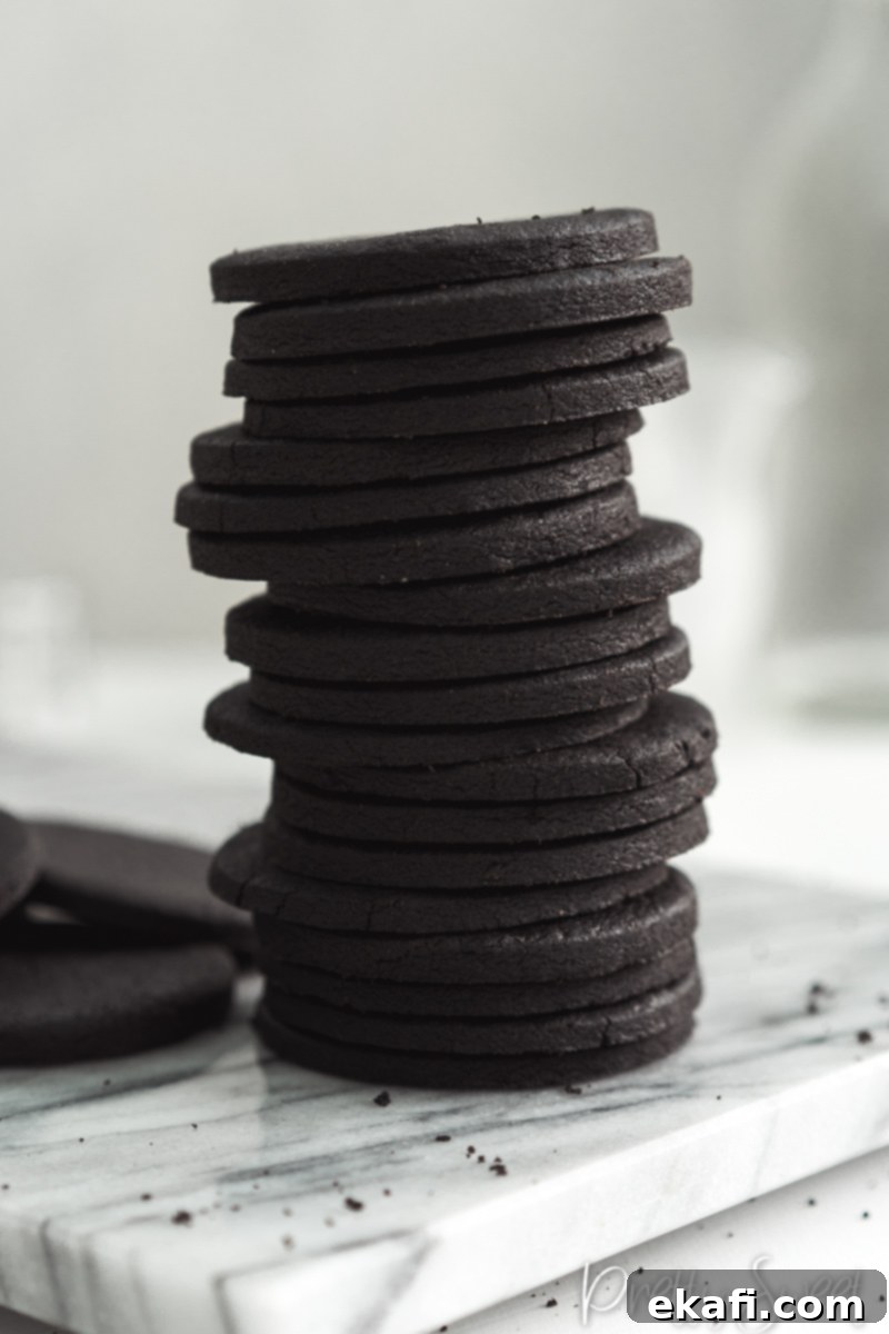 Deep & Dark Black Cocoa Delights 15 Black Cocoa Shortbread Cookies
