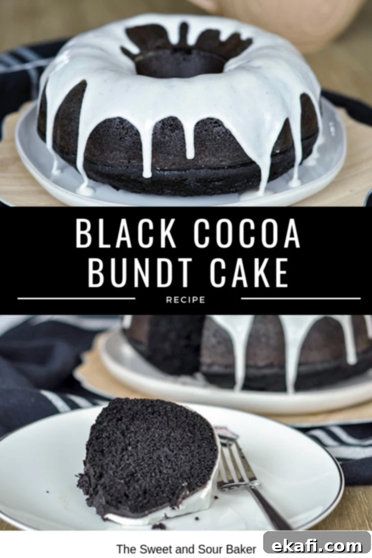 Deep & Dark Black Cocoa Delights 18 Black Cocoa Bundt Cake — The Sweet & Sour Baker