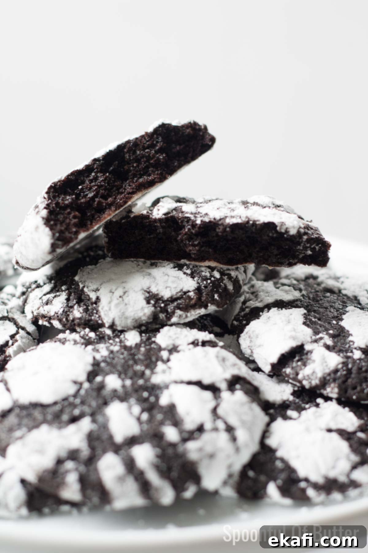 Deep & Dark Black Cocoa Delights 19 Black Cocoa Crinkle Cookies | The Bakeologie