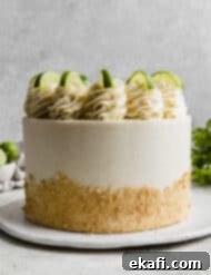 Key Lime Dream Cake 10 A slice of Key Lime Pie Cake showing the layers of cake, graham cracker crust, lime curd, and vanilla bean buttercream.