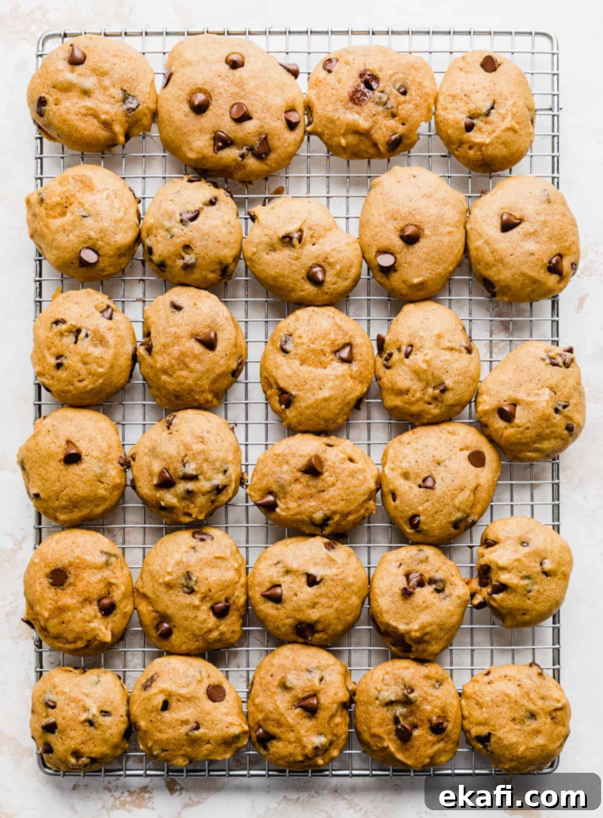 Spiced Pumpkin Chocolate Chip Delights 15 Freshly baked, soft pumpkin chocolate chip cookies cooling on a wire rack against a clean white background, highlighting their perfect texture.