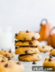Spiced Pumpkin Chocolate Chip Delights 17 Beautifully styled image of a stack of pumpkin chocolate chip cookies ready for the recipe card.