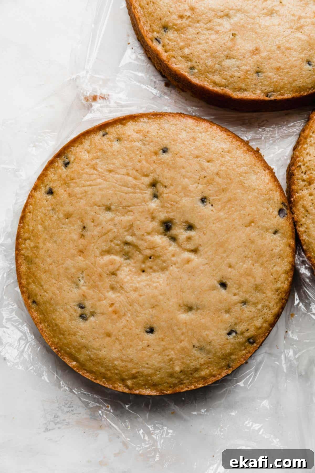 The Ultimate Cookie Dough Dream Cake 4 A perfectly baked round brown butter cookie dough cake layer, speckled with mini chocolate chips, on a white background.