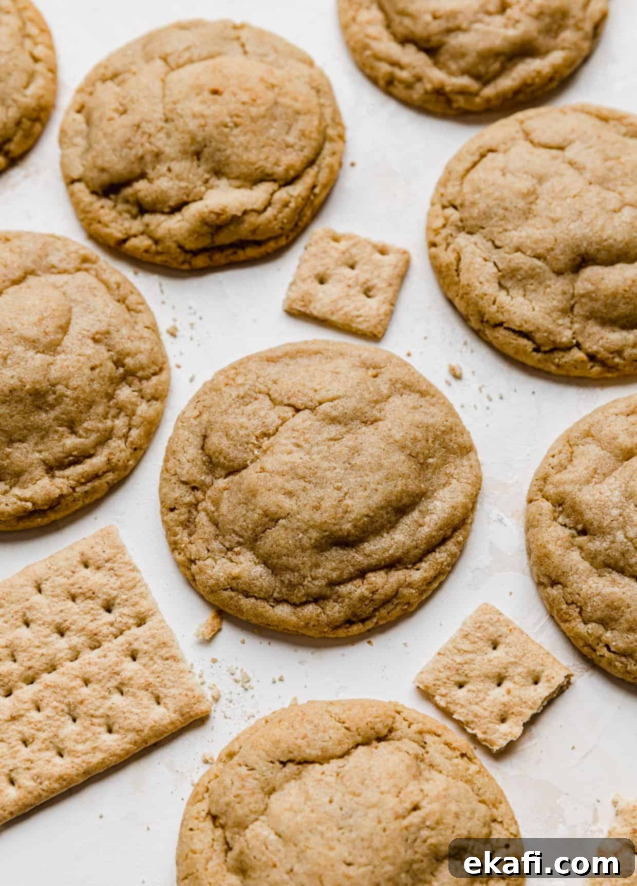 Sweet Graham Cracker Delights 2 Baked Graham Cracker Cookies on a white background with graham cracker squares near the cookies.