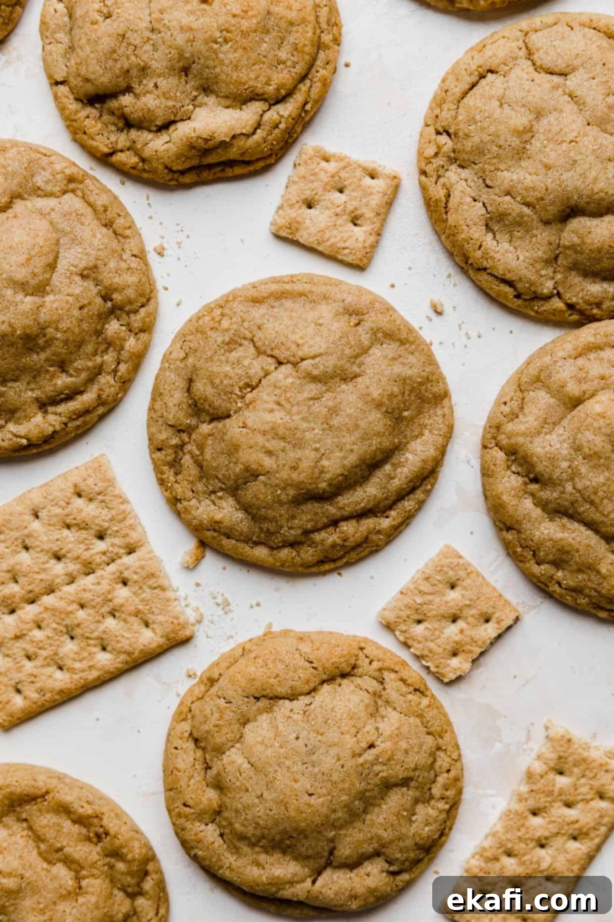 Sweet Graham Cracker Delights 8 Baked Graham Cracker Cookies on a white background with a few rectangular graham crackers surrounding the cookies.