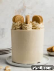 Golden Oreo Dream Cake 15 A three layer Golden Oreo Cake on a white plate against a white textured background.