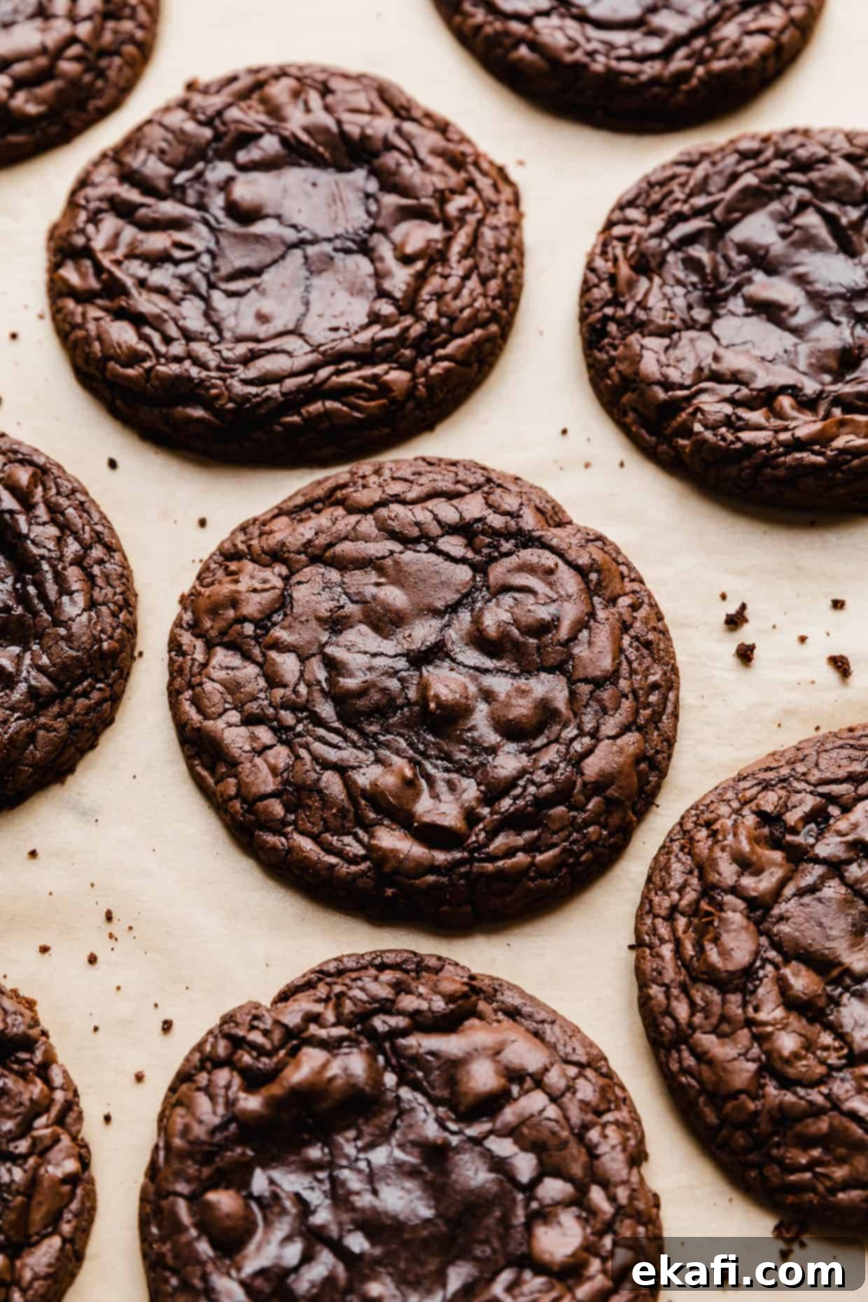 Crumbl's Signature Brownie Batter Cookies 2 Crumbl Brownie Batter Cookies on a tan background.