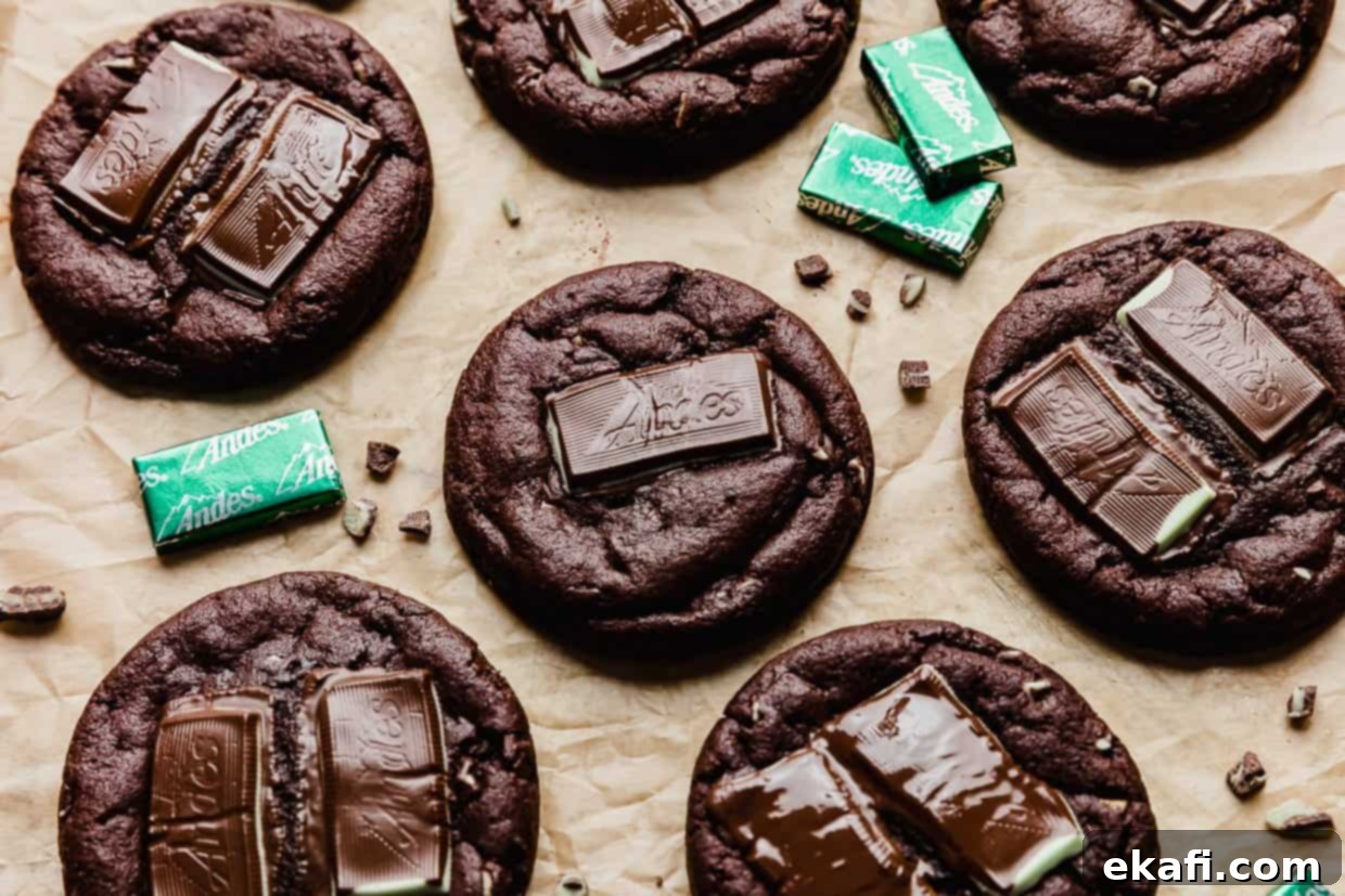 Decadent Andes Mint Chocolate Cookies 6 Chocolate Andes Mint Cookies topped with a melty Andes mint.