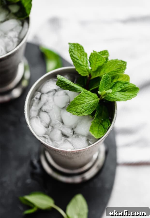 Δροσερά Μοκτέιλ με Sprite 10 Φωτογραφία από ψηλά ενός παρθένου mint julep.