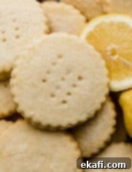 Sunshine Lemon Shortbread 9 Round Lemon Shortbread Cookies surrounded by a sliced lemon.