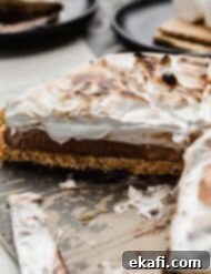 Σμόρς Τάρτα 10 Η καλύτερη συνταγή S'mores tart φτιαγμένη με πουτίγκα σοκολάτας και σπιτική ψημένη κρέμα marshmallow.