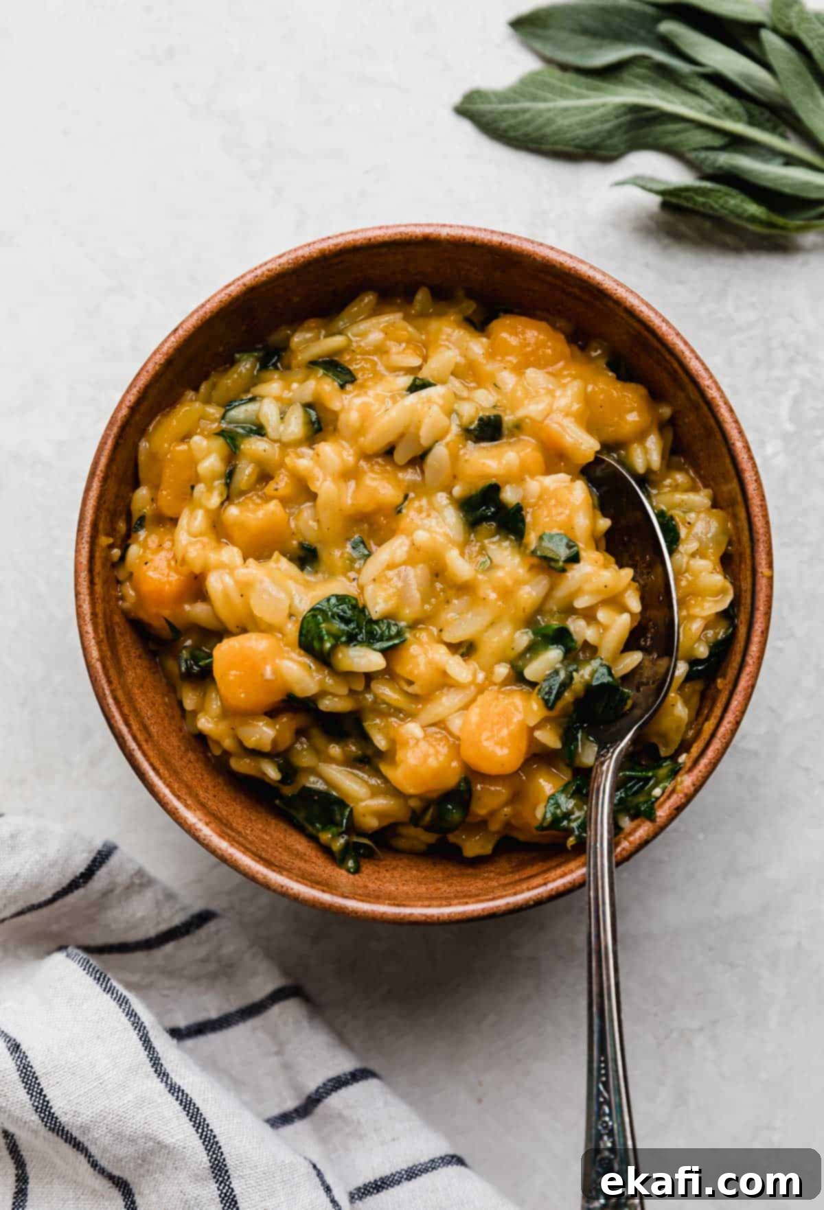 Creamy Butternut Squash Orzo 7 Sage brown butter Butternut Squash Orzo pasta recipe in a brown bowl on a light gray surface.