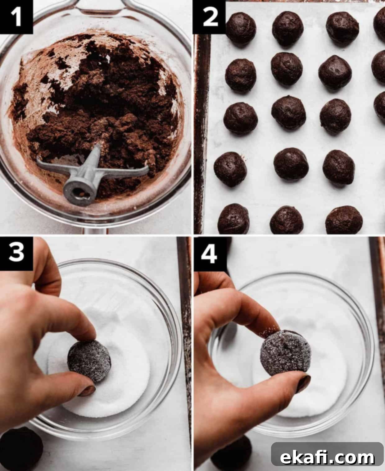 Peppermint Kissed Chocolate Gems 4 Four photos showing how to make Chocolate Peppermint Blossom Cookies: chocolate cookie dough in bowl (top left), round cookie dough balls on white paper (top right), hand rolling cookie dough ball into white sugar (bottom left and right photos).