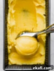Tropical Mango Freeze 8 A scoop of creamy mango sorbet being scooped.