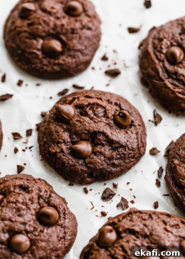 Fudgy Brownie Cookies 2 Fudgy brownie cookies loaded with chocolate chips, artfully surrounded by delicate chocolate shavings, showcasing their rich, dark color and appealing texture.