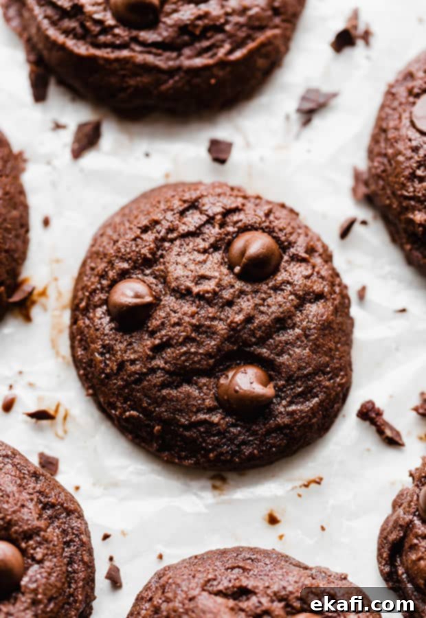 Fudgy Brownie Cookies 8 A tantalizing close-up photo of a single fudgy brownie cookie, rich in chocolate flavor, surrounded by a sprinkle of chopped chocolate, highlighting its irresistible texture.