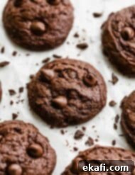 Fudgy Brownie Cookies 9 Brownie cookies loaded with chocolate chips surrounded by chocolate shavings.