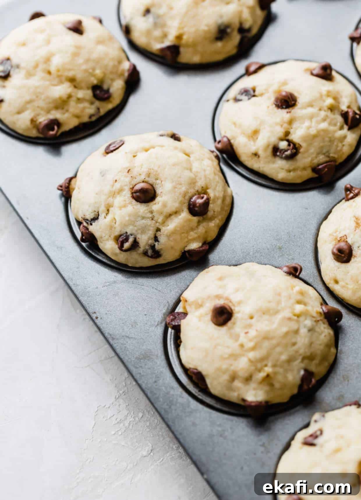 Velvet Banana Chocolate Chip Muffins 7 Baked banana chocolate chip muffins with buttermilk, in a muffin tin.