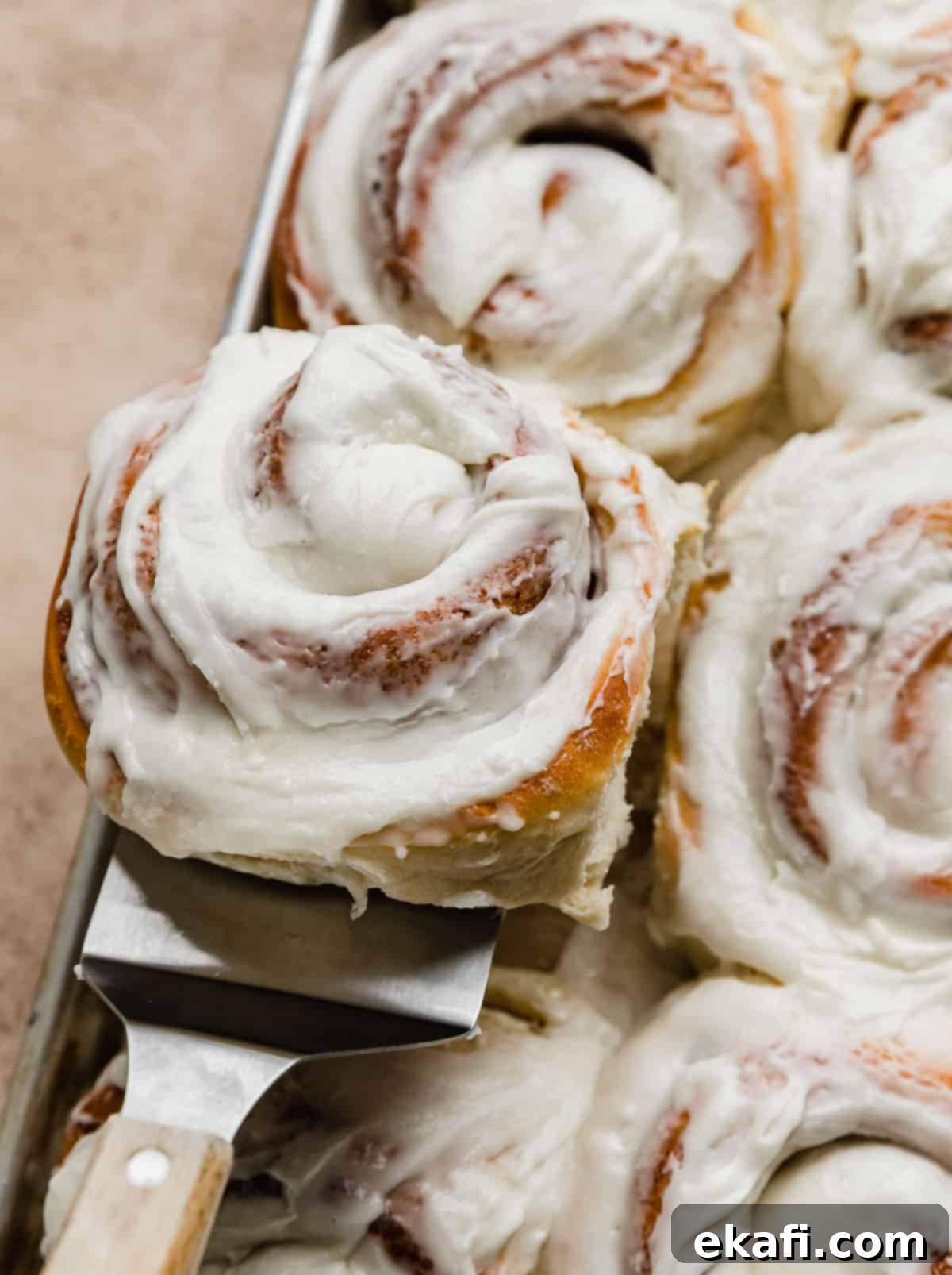 Delicious Homemade Cinnamon Rolls 2 A large bakery-style cinnamon roll on a metal spatula being held up amongst a baking sheet full of cinnamon rolls.