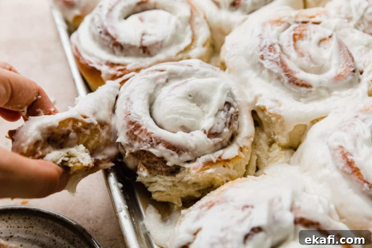 Delicious Homemade Cinnamon Rolls 12 A hand pulling a spiral of cinnamon roll.