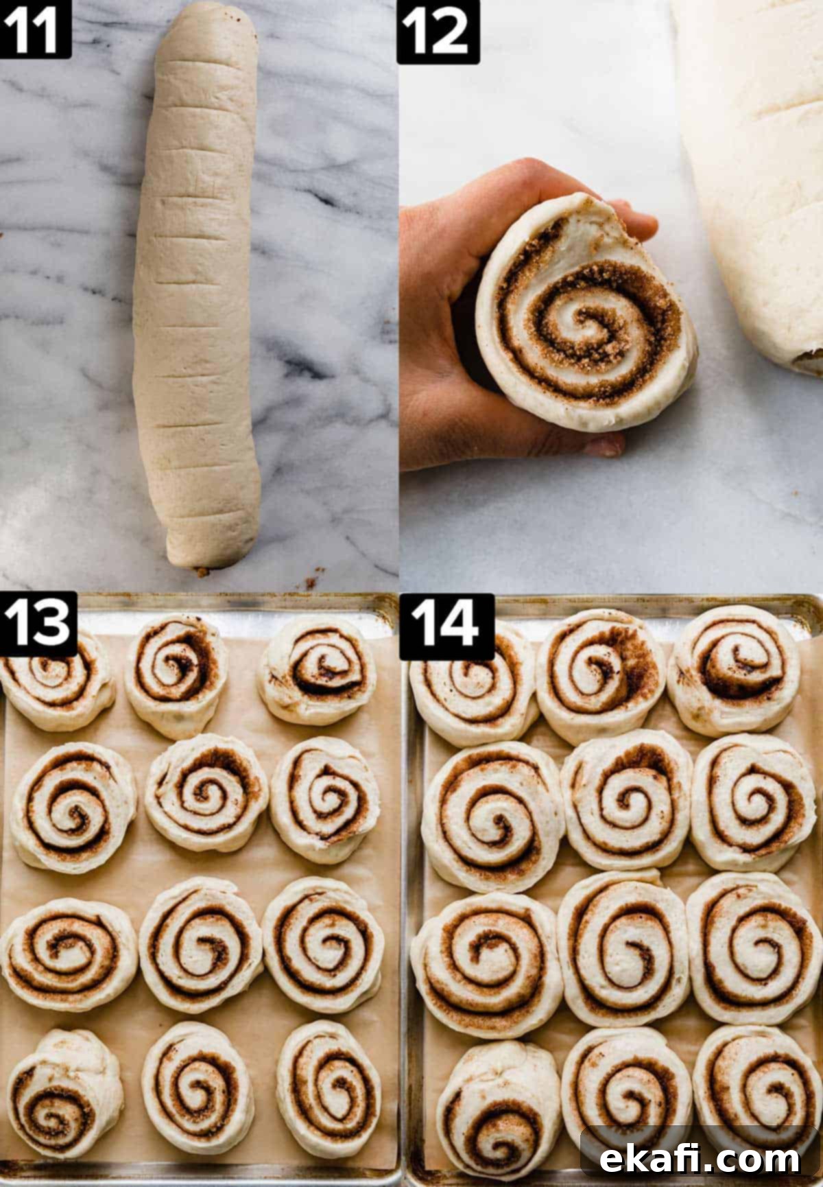 Delicious Homemade Cinnamon Rolls 9 Unbaked cinnamon rolls rolled in a log, then cut, and placed on a baking sheet.