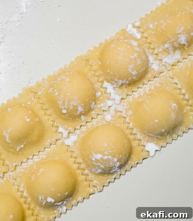 Mastering Homemade Ravioli 10 Freshly made and filled ravioli arranged on a floured baking sheet.