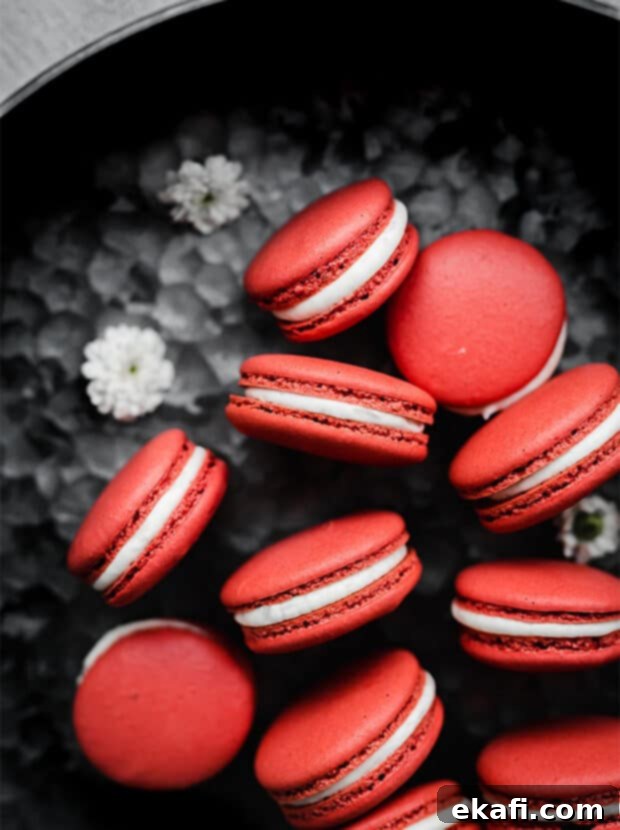Red Velvet Macarons against a metal background. Delicately crafted red velvet macarons, known for their vibrant color and rich cocoa flavor, are presented on a textured metal surface, hinting at professional kitchen artistry.