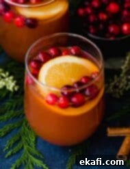 Spiced Cranberry Apple Cider 7 A glass cup with Cranberry Apple Cider, fresh cranberries, and an orange slice in it.