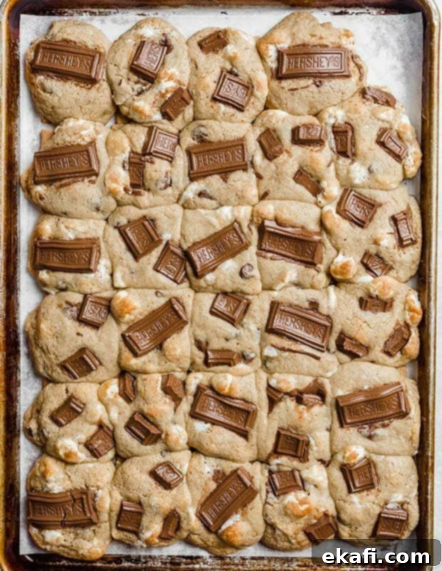 Smores Cookies 6 A baking sheet showing fully baked s'mores cookies with melted marshmallows and chocolate, sitting atop their graham cracker bases, just out of the oven.