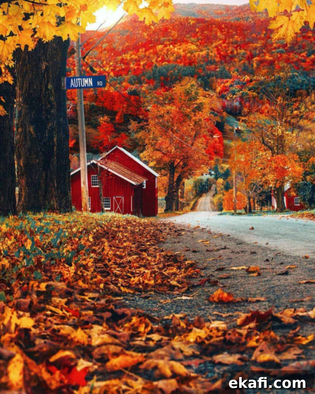 Πιο Γλυκιά Τετάρτη 33 2 Photo of fall foliage.