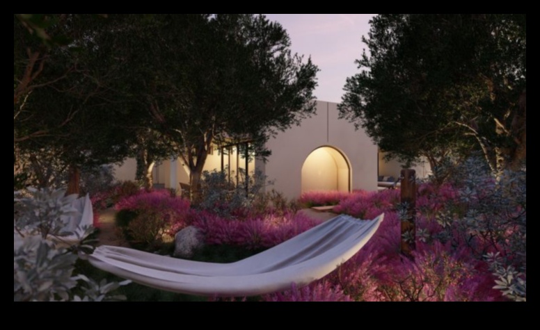 Blossom Brilliance: DIY Creations for a Radiant Garden Paradise