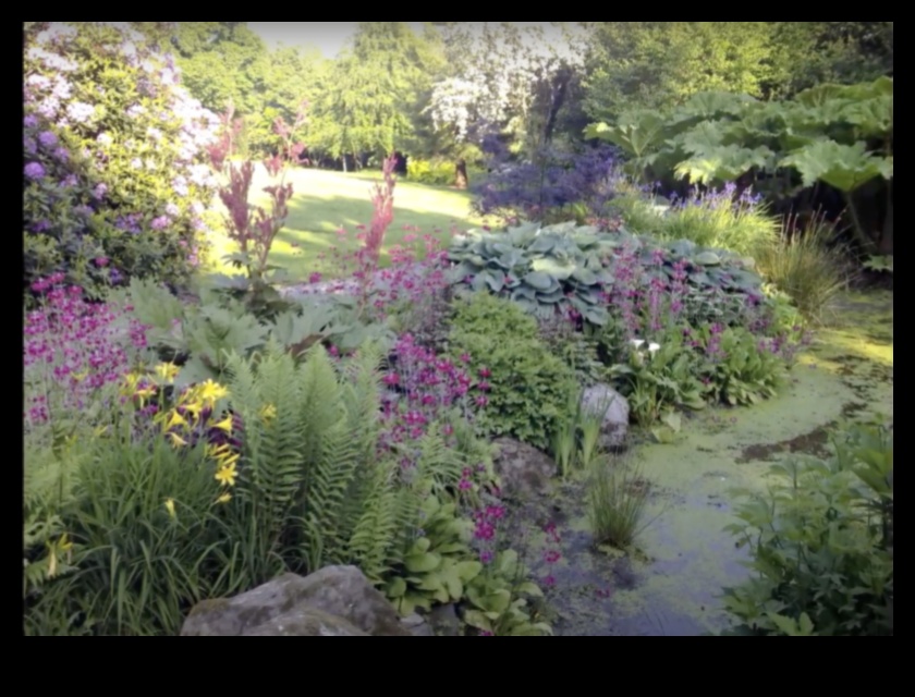 Blossom Brilliance: DIY Creations for a Radiant Garden Paradise