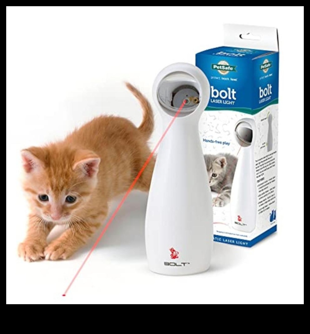 Wise Whiskers: Gifts for Cat Lovers