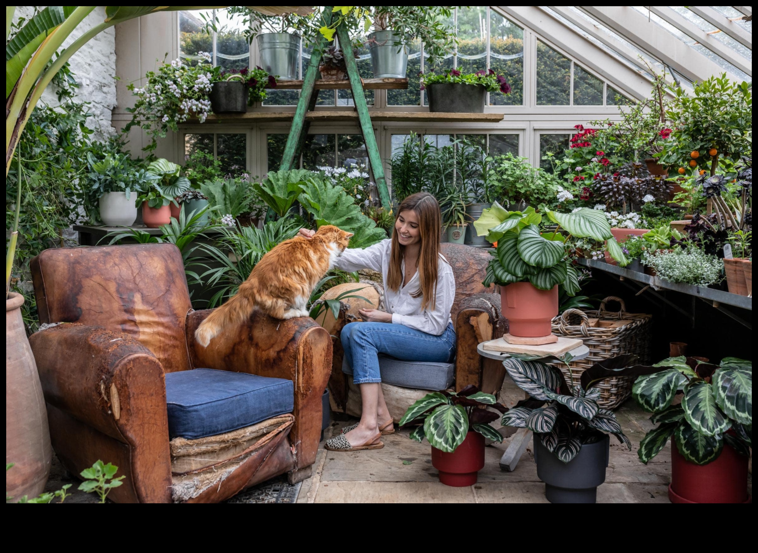 Green Living Inside: Φροντίζοντας το σπίτι σας με εσωτερικούς κήπους