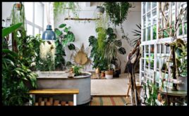 Green Living Inside Φροντίστε το σπίτι σας με εσωτερικούς κήπους