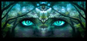 Ξεκλείδωμα της εσωτερικής ευδαιμονίας Η ουσία του διαλογισμού εξερευνήθηκε