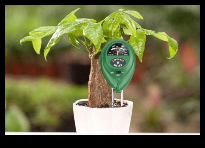 Green Thumb Glory: Gardening Gifts for Plant Enthusiasts