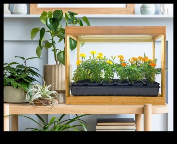 Δώρα κηπουρικής Green Thumb Glory για λάτρεις των φυτών