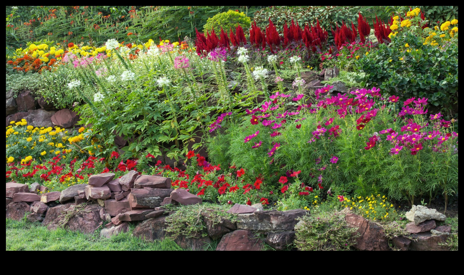 Harmony in Bloom: Ο οδηγός σας για απρόσκοπτη συντήρηση κήπου